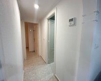 Rental - Apartment / flat - Algorfa