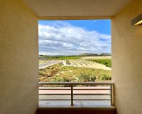 Rental - Apartment / flat - Algorfa