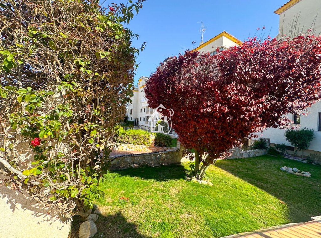 Rental - Apartment / flat - Alicante - Campoamor