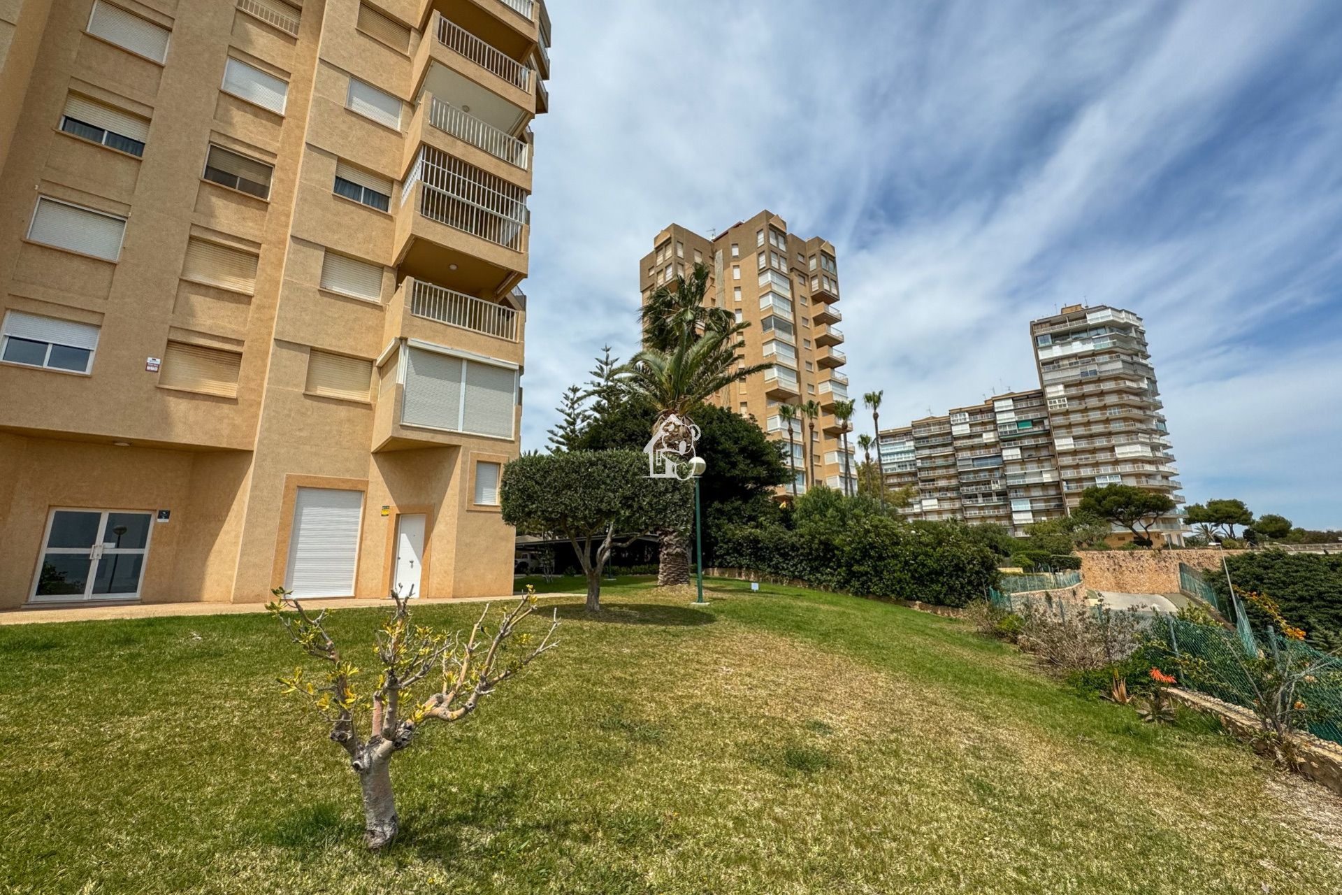 Rental - Apartment / flat - Dehesa de Campoamor
