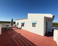 Rental - Apartment / flat - Guardamar del Segura - Urbanizaciones