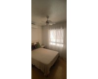 Rental - Apartment / flat - Guardamar del Segura