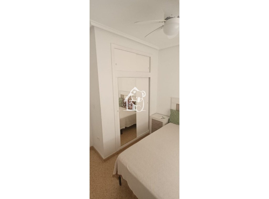 Rental - Apartment / flat - Guardamar del Segura