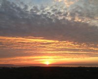 Rental - Apartment / flat - Guardamar del Segura