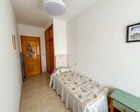 Rental - Apartment / flat - Guardamar del Segura