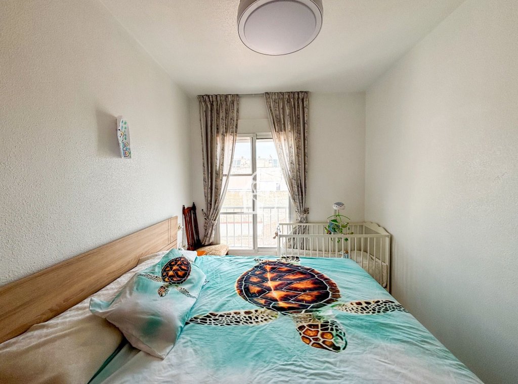 Rental - Apartment / flat - Guardamar del Segura