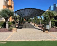 Rental - Apartment / flat - Orihuela Costa - Cabo roig - La Zenia