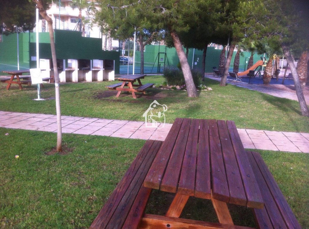 Rental - Apartment / flat - Orihuela Costa - Cabo roig - La Zenia
