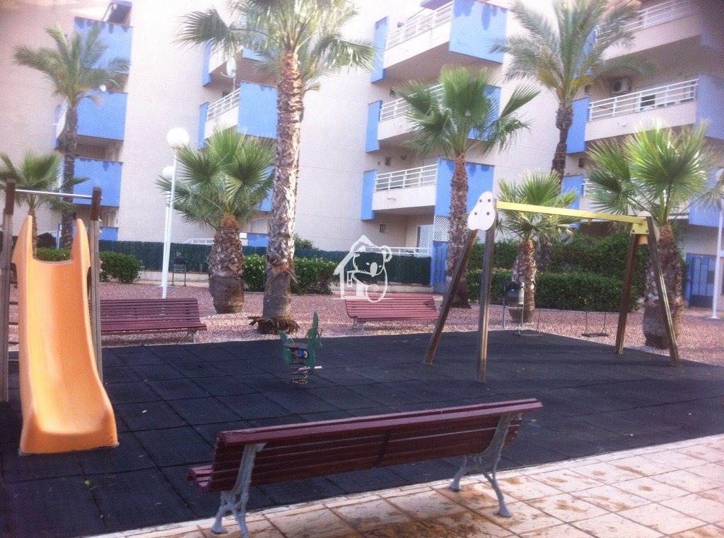 Rental - Apartment / flat - Orihuela Costa - Cabo roig - La Zenia