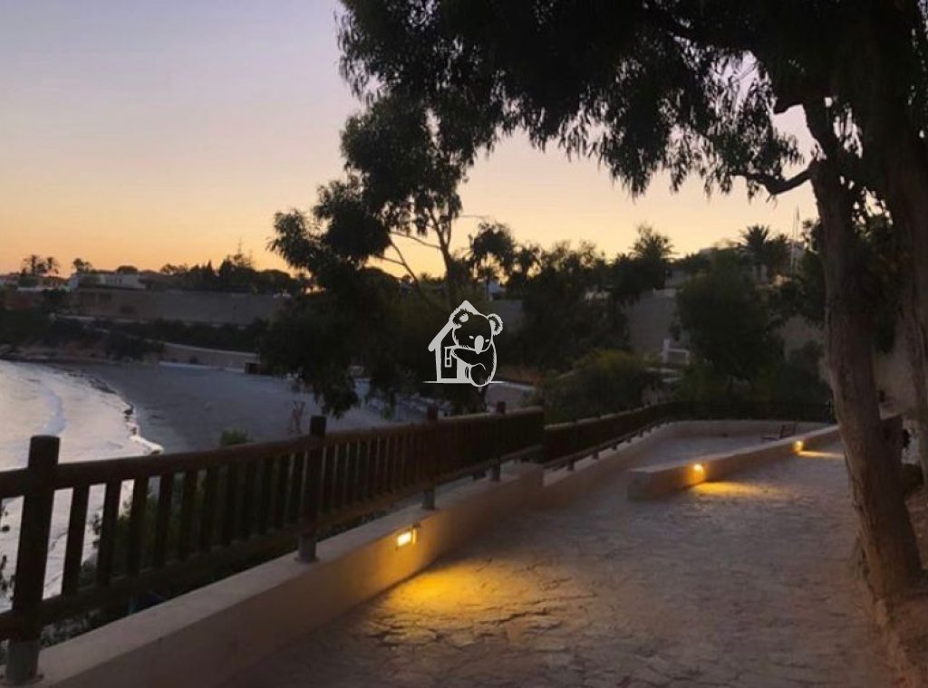 Rental - Apartment / flat - Orihuela Costa - Cabo roig - La Zenia