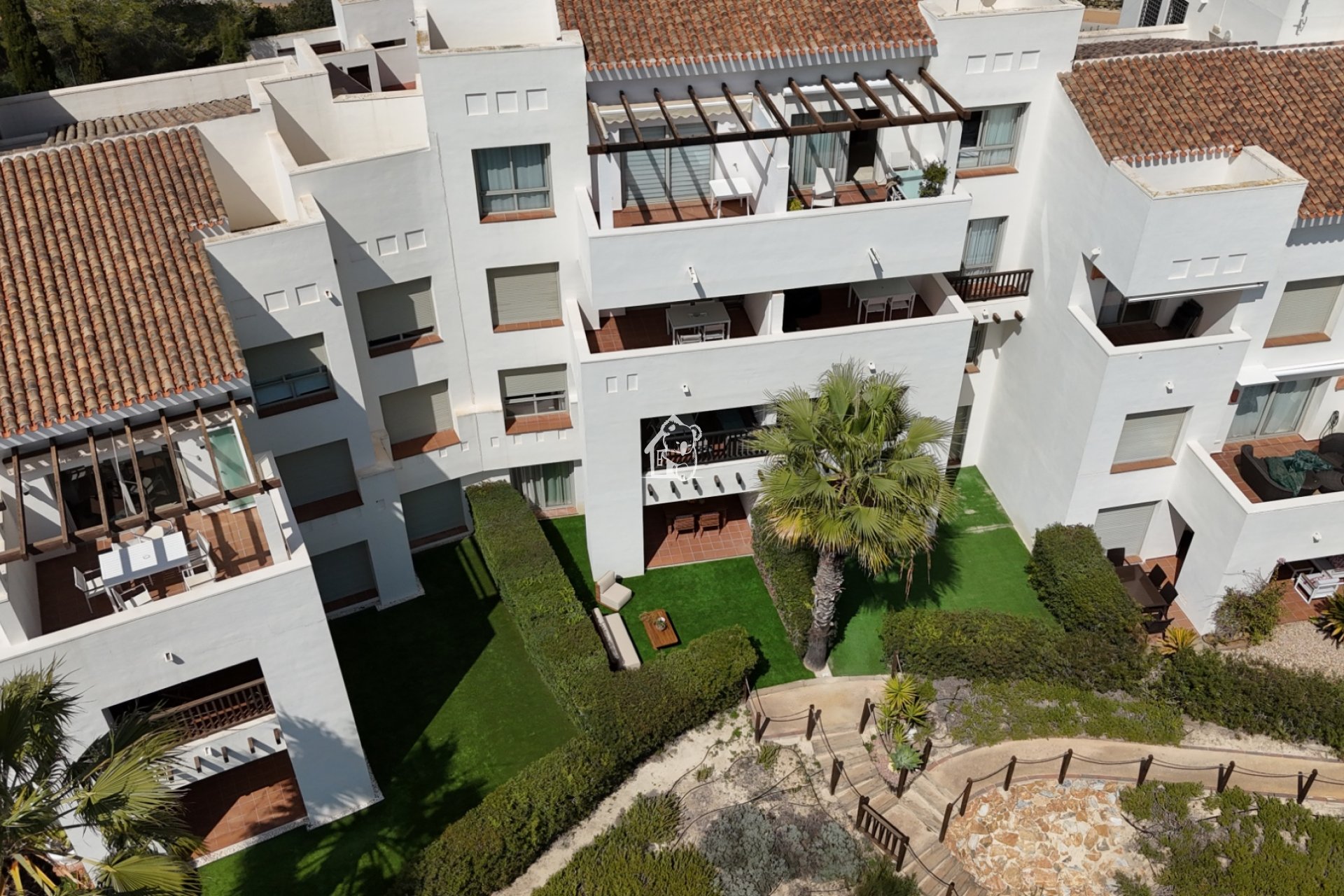 Rental - Apartment / flat - Orihuela Costa - Campos de Golf