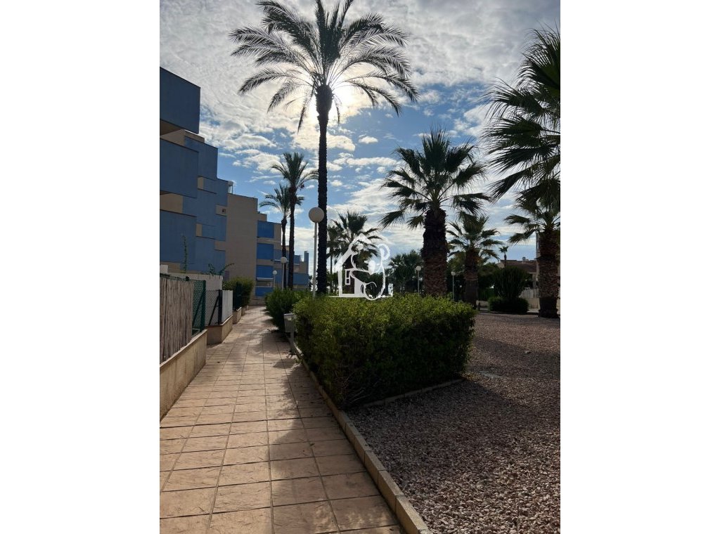 Rental - Apartment / flat - Orihuela Costa - Dehesa de campoamor