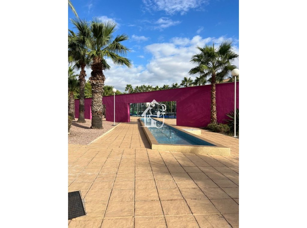 Rental - Apartment / flat - Orihuela Costa - Dehesa de campoamor