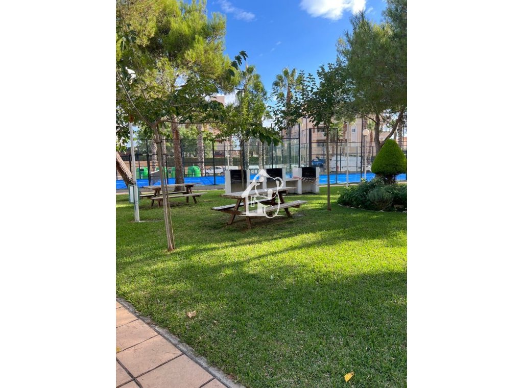 Rental - Apartment / flat - Orihuela Costa - Dehesa de campoamor