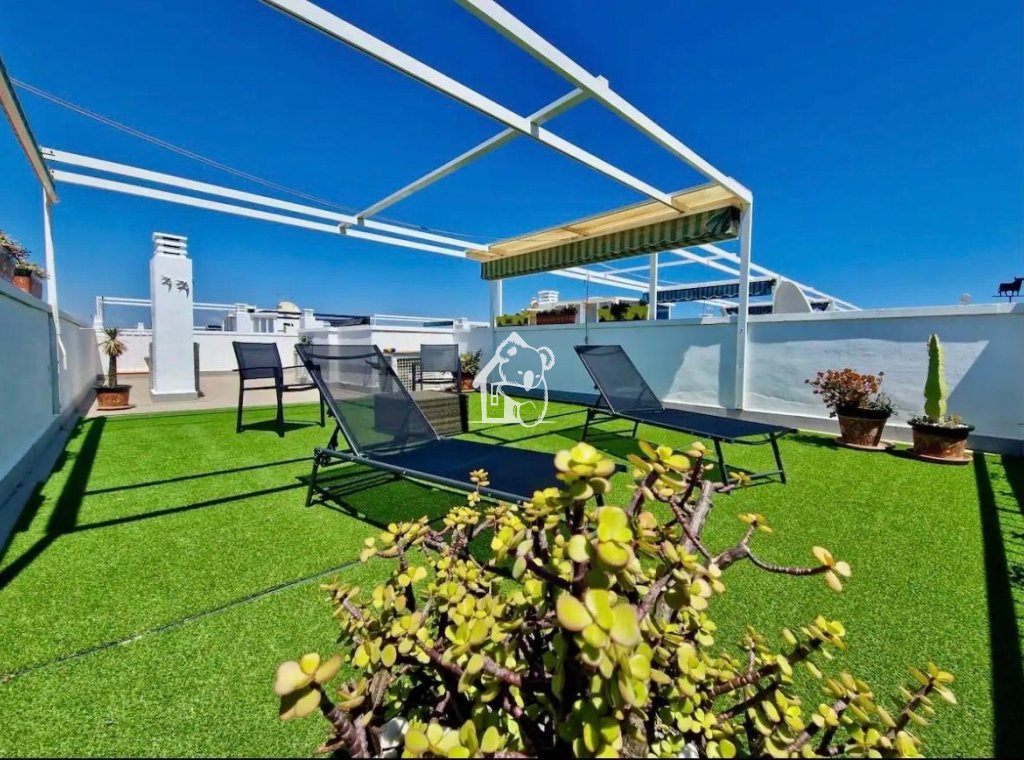 Rental - Apartment / flat - Orihuela Costa - La Florida