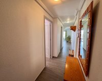 Rental - Apartment / flat - Orihuela Costa - La Florida