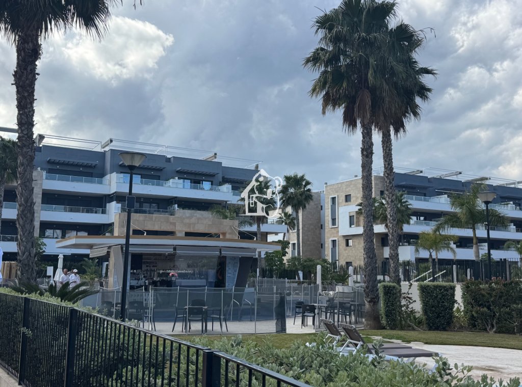 Rental - Apartment / flat - Orihuela Costa - Playa Flamenca