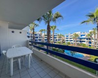Rental - Apartment / flat - Orihuela Costa - Playa Flamenca