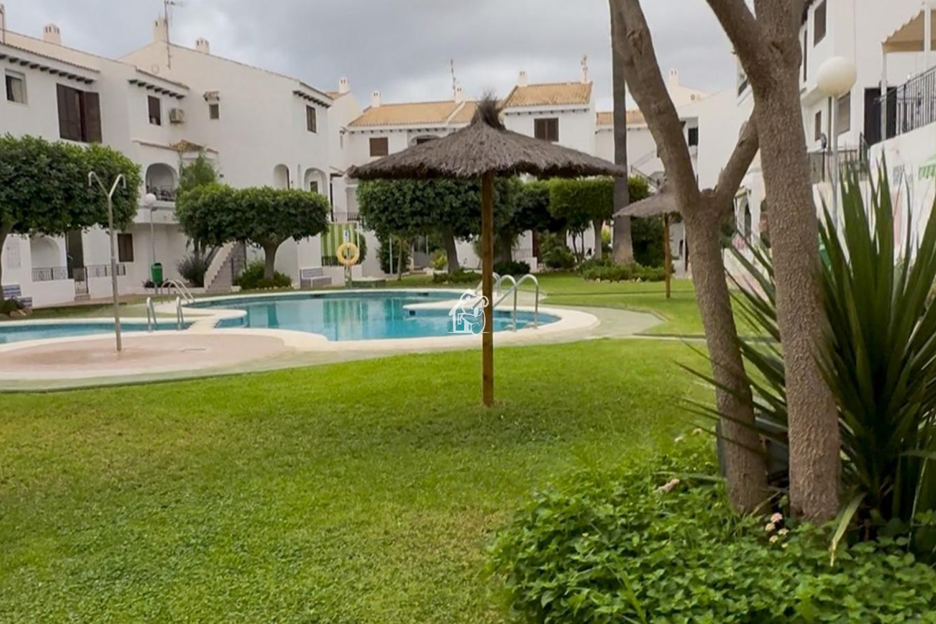 Rental - Apartment / flat - Orihuela Costa - Playa Flamenca