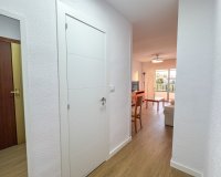 Rental - Apartment / flat - Orihuela Costa - Punta Prima