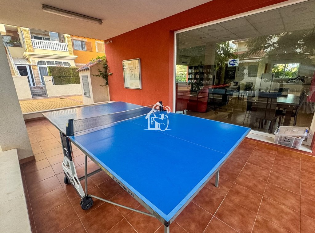 Rental - Apartment / flat - Orihuela Costa - Punta Prima