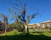 Rental - Apartment / flat - Orihuela Costa