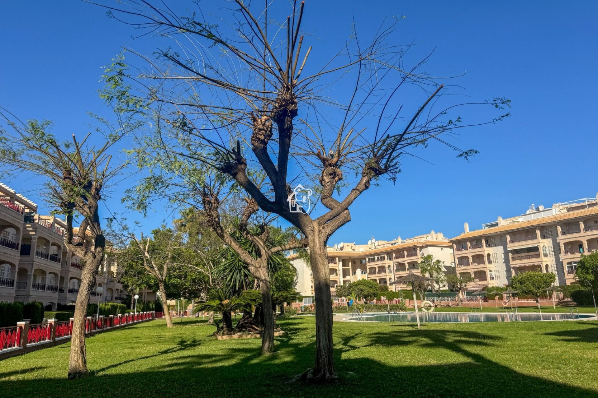 Rental - Apartment / flat - Orihuela Costa