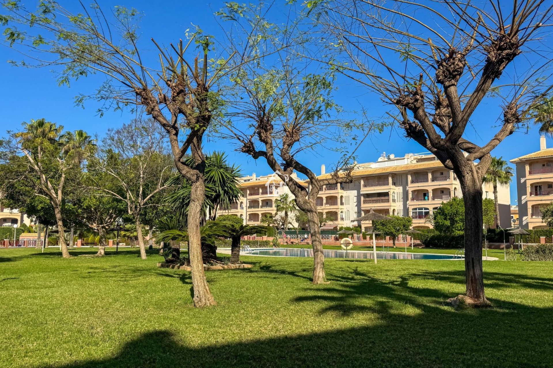 Rental - Apartment / flat - Orihuela Costa