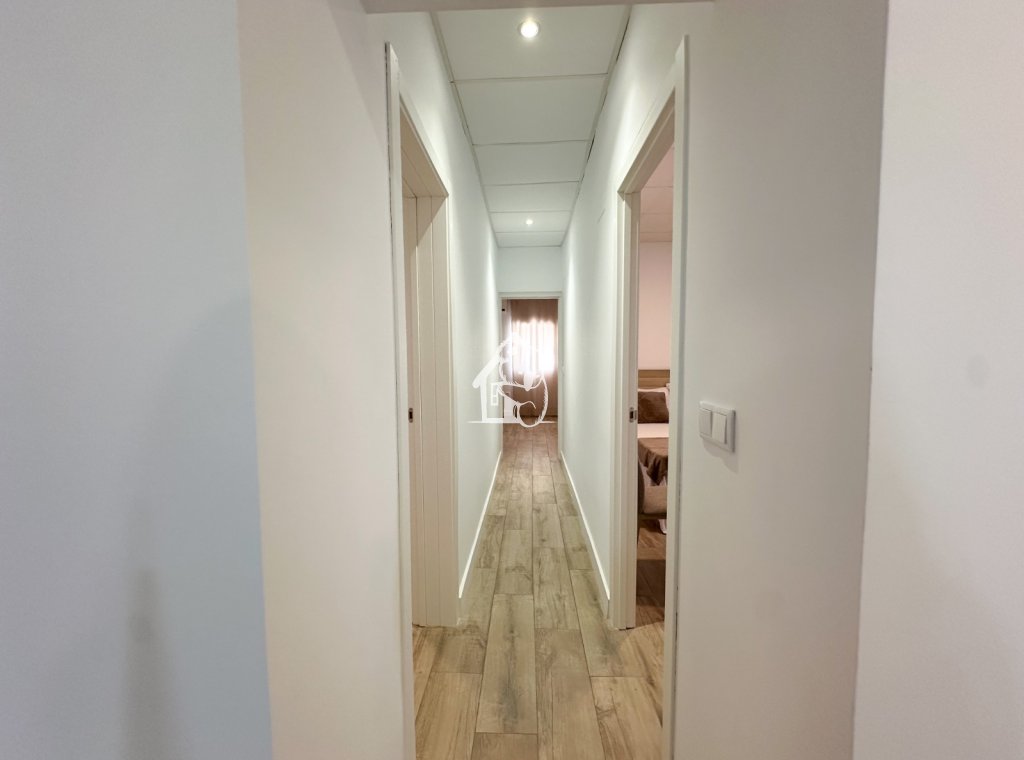 Rental - Apartment / flat - Orihuela