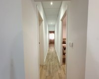 Rental - Apartment / flat - Orihuela