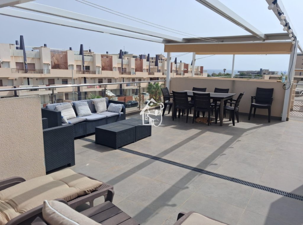 Rental - Apartment / flat - Pilar de la Horadada