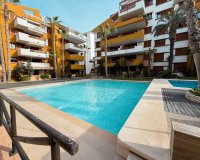 Rental - Apartment / flat - Punta Prima