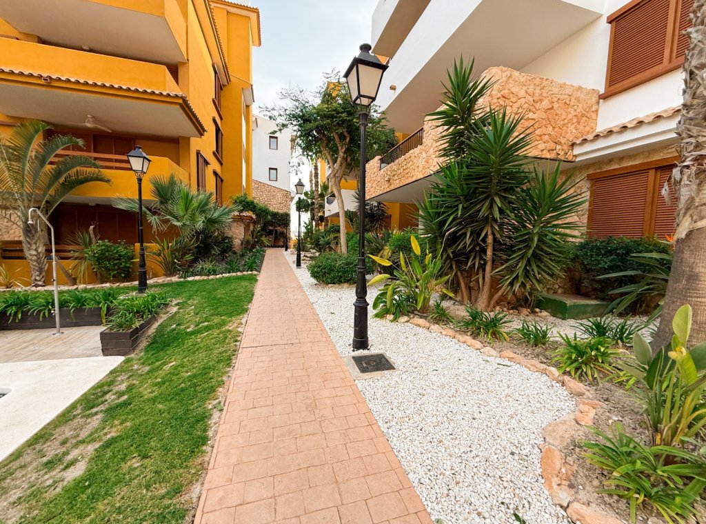 Rental - Apartment / flat - Punta Prima