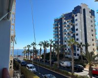 Rental - Apartment / flat - Punta Prima
