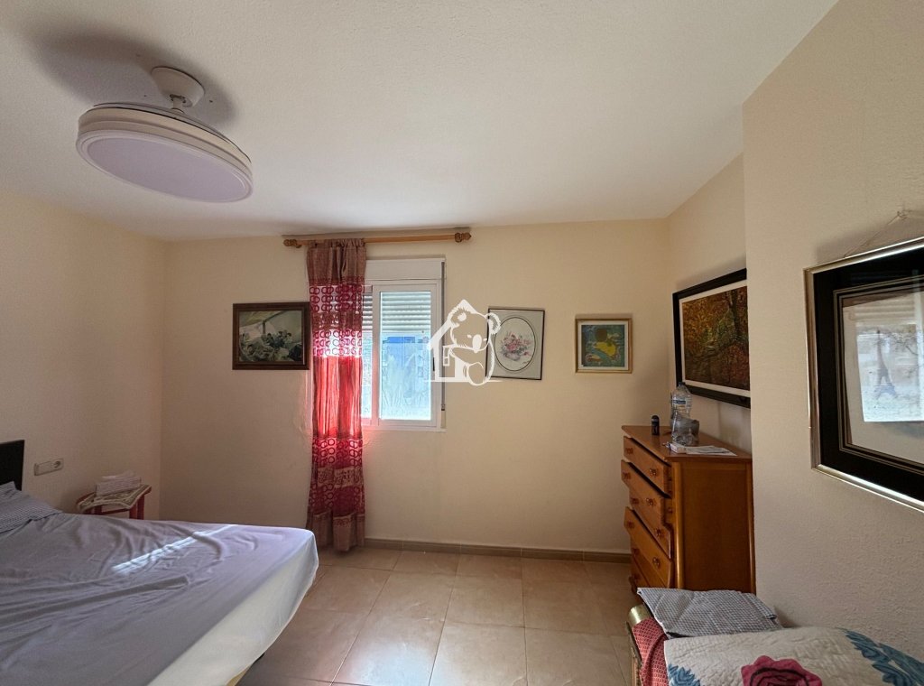 Rental - Apartment / flat - Punta Prima