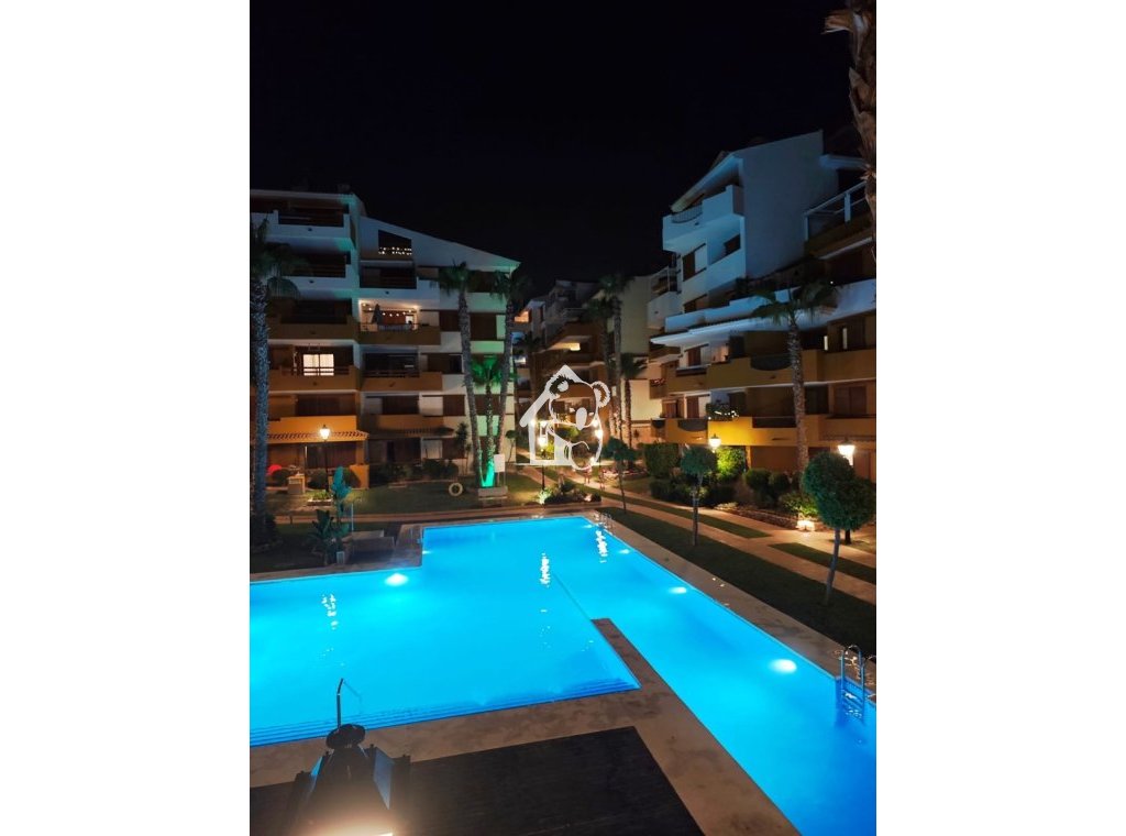 Rental - Apartment / flat - Punta Prima