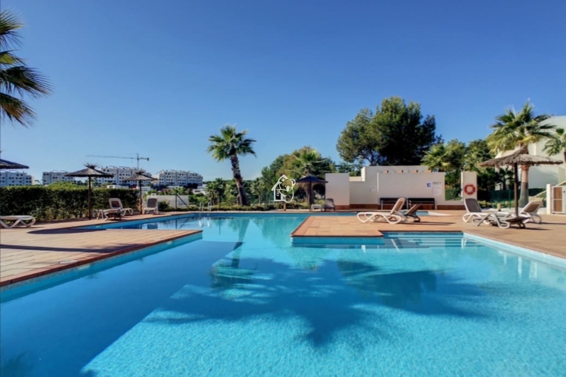 Rental - Apartment / flat - San Miguel de Salinas