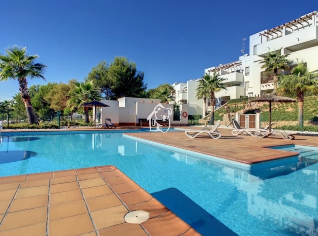 Rental - Apartment / flat - San Miguel de Salinas