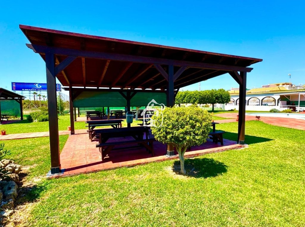 Rental - Apartment / flat - Torrevieja - Centro