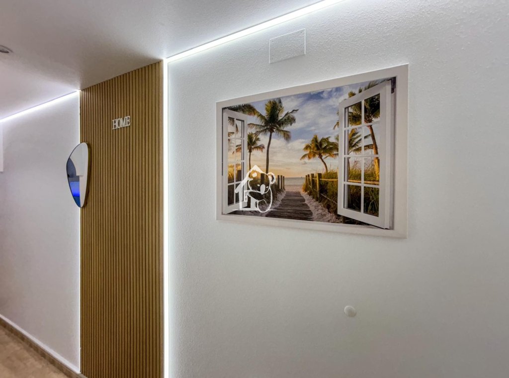 Rental - Apartment / flat - Torrevieja - Centro