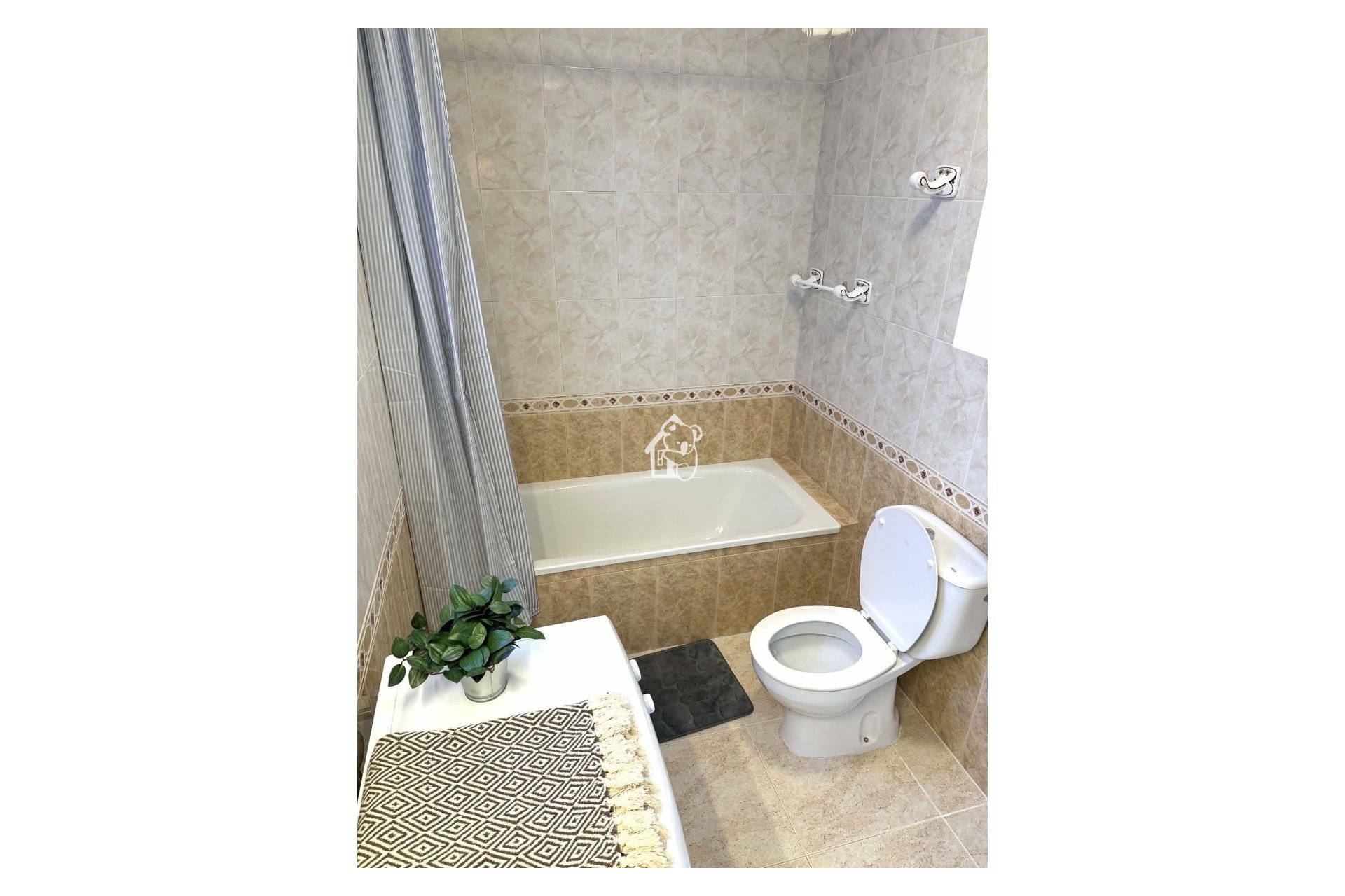 Rental - Apartment / flat - Torrevieja - Centro