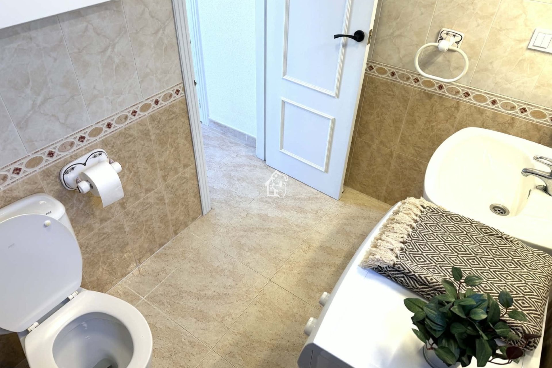 Rental - Apartment / flat - Torrevieja - Centro