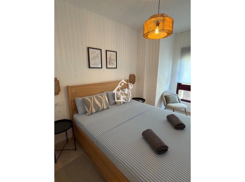 Rental - Apartment / flat - Torrevieja - Centro