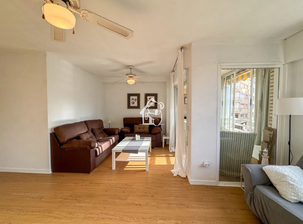 Rental - Apartment / flat - Torrevieja - Centro