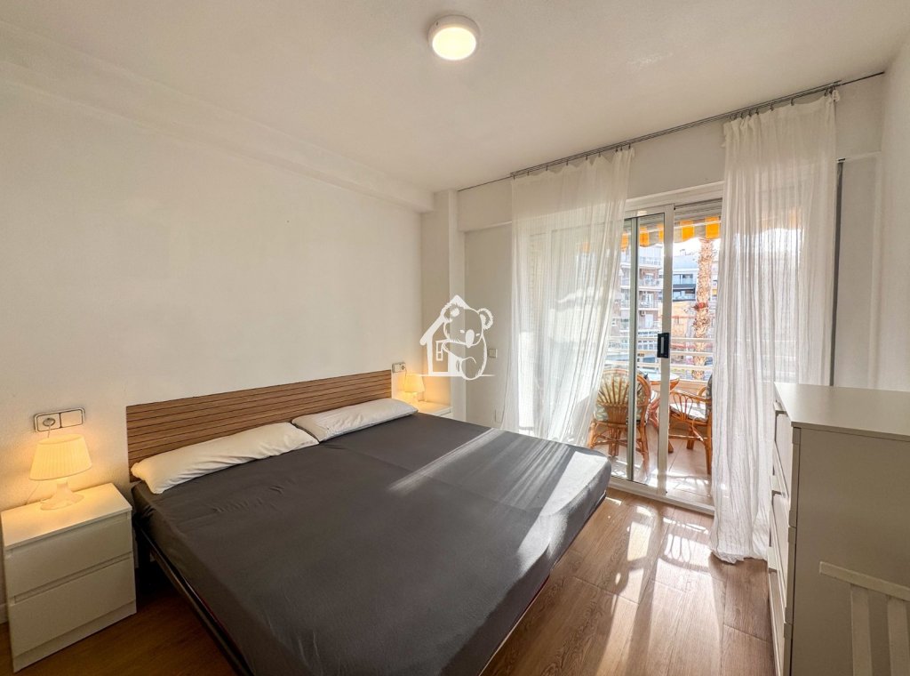 Rental - Apartment / flat - Torrevieja - Centro