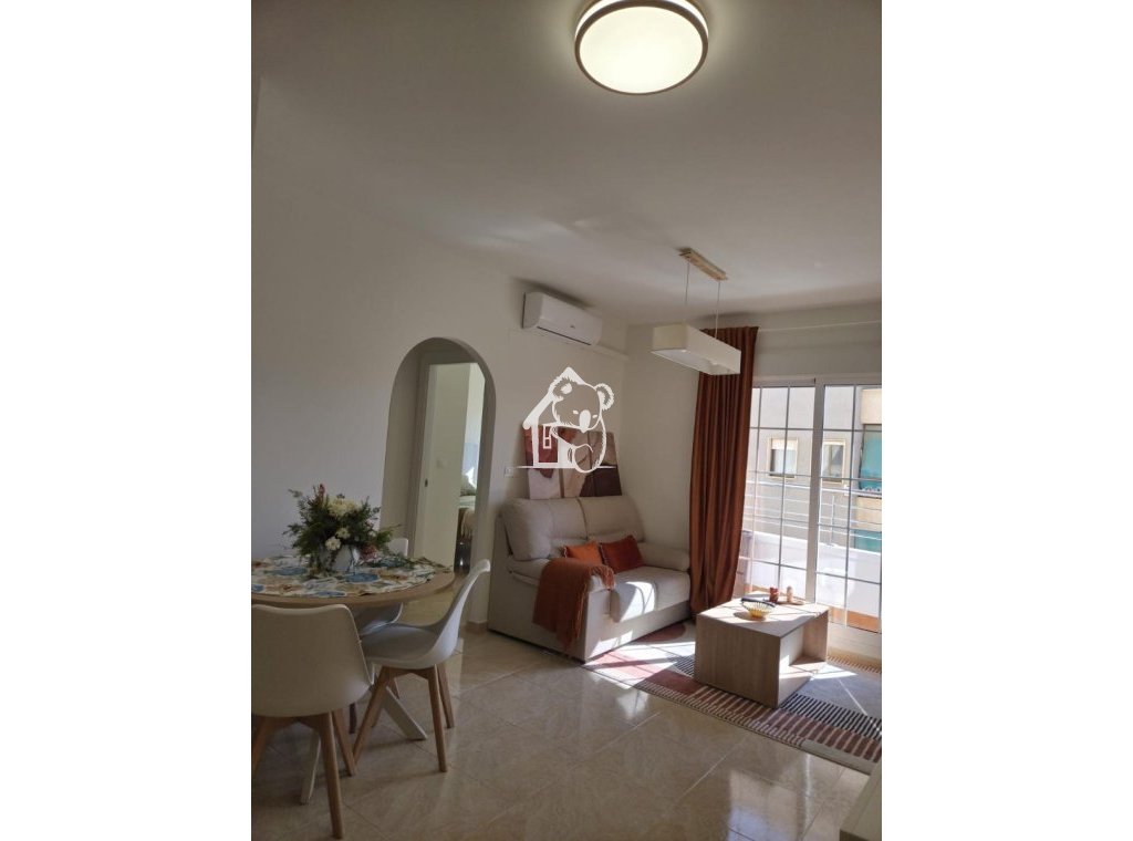 Rental - Apartment / flat - Torrevieja - Centro