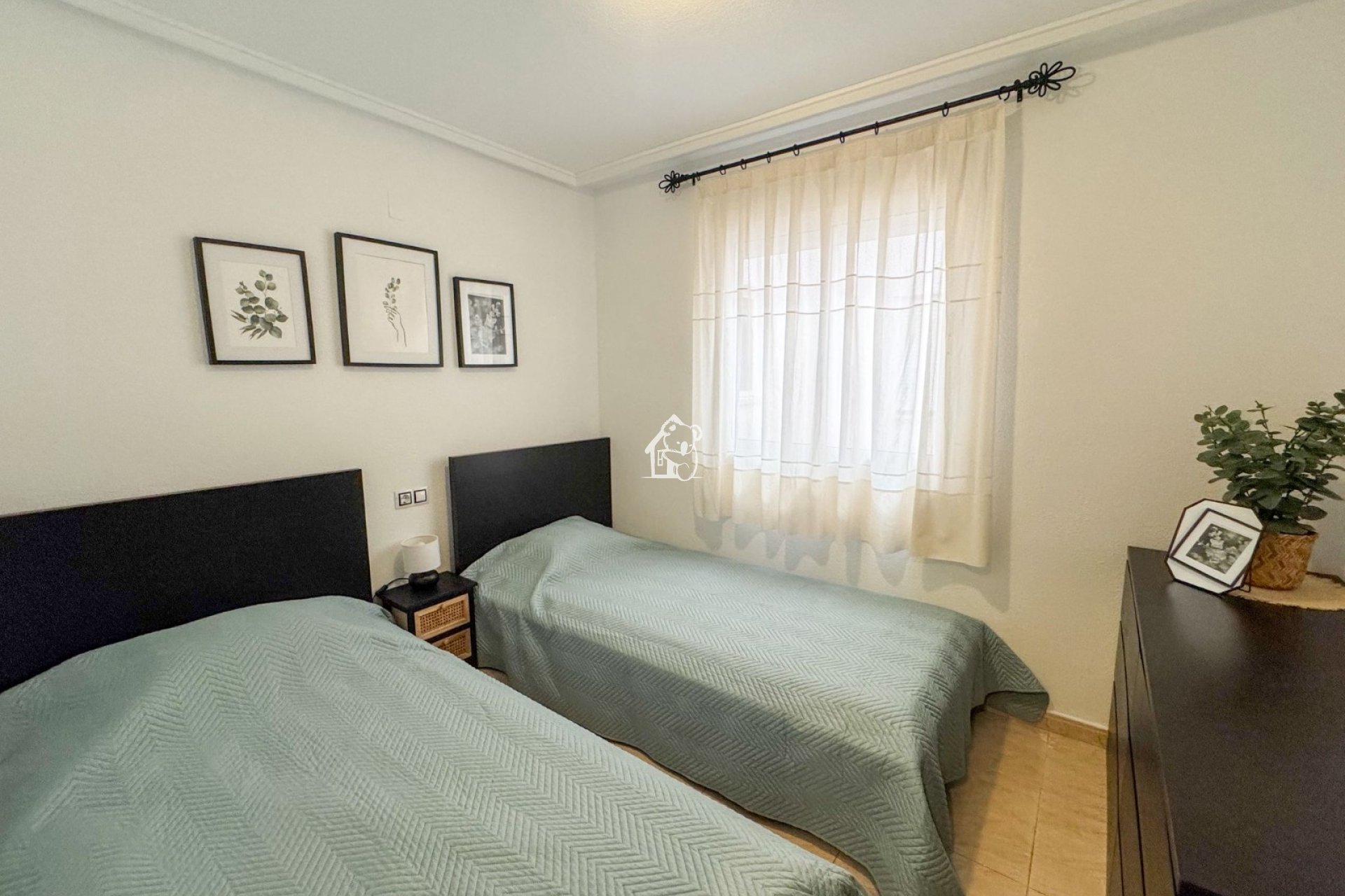 Rental - Apartment / flat - Torrevieja - Centro
