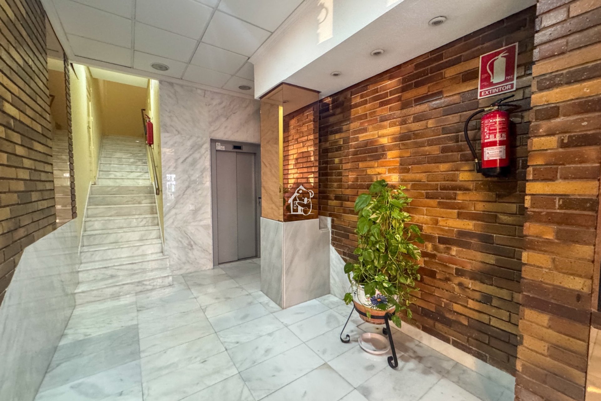 Rental - Apartment / flat - Torrevieja - Centro