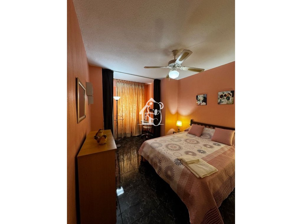 Rental - Apartment / flat - Torrevieja - El Acequión - Los Náufragos