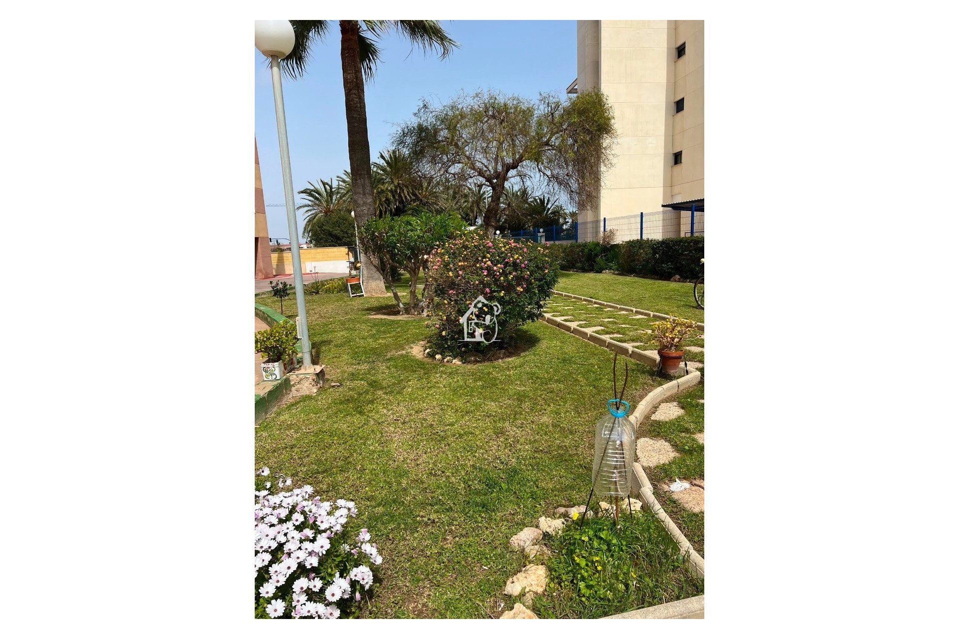 Rental - Apartment / flat - Torrevieja - El Acequión - Los Náufragos